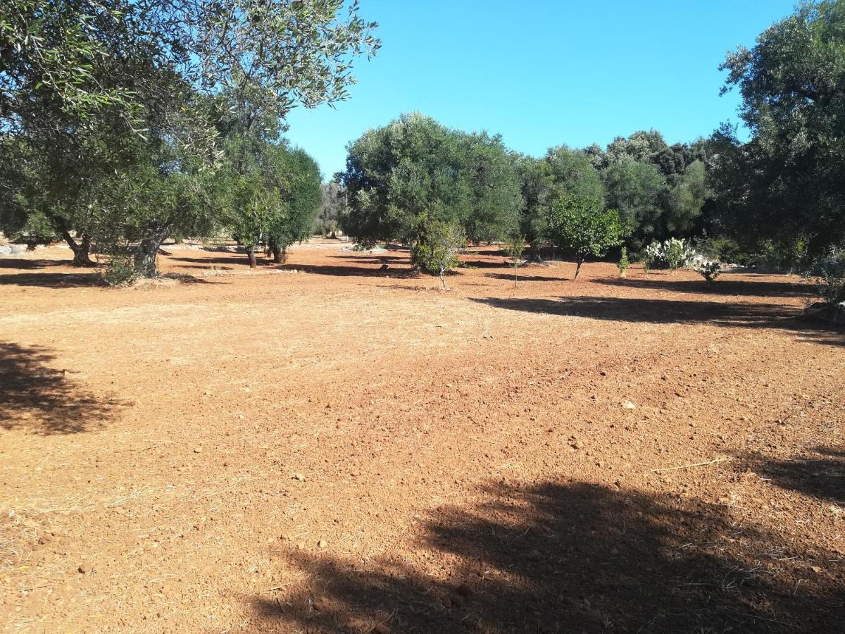 Trullo Alessandro E Villa Raffaela San Vito dei Normanni Exterior foto