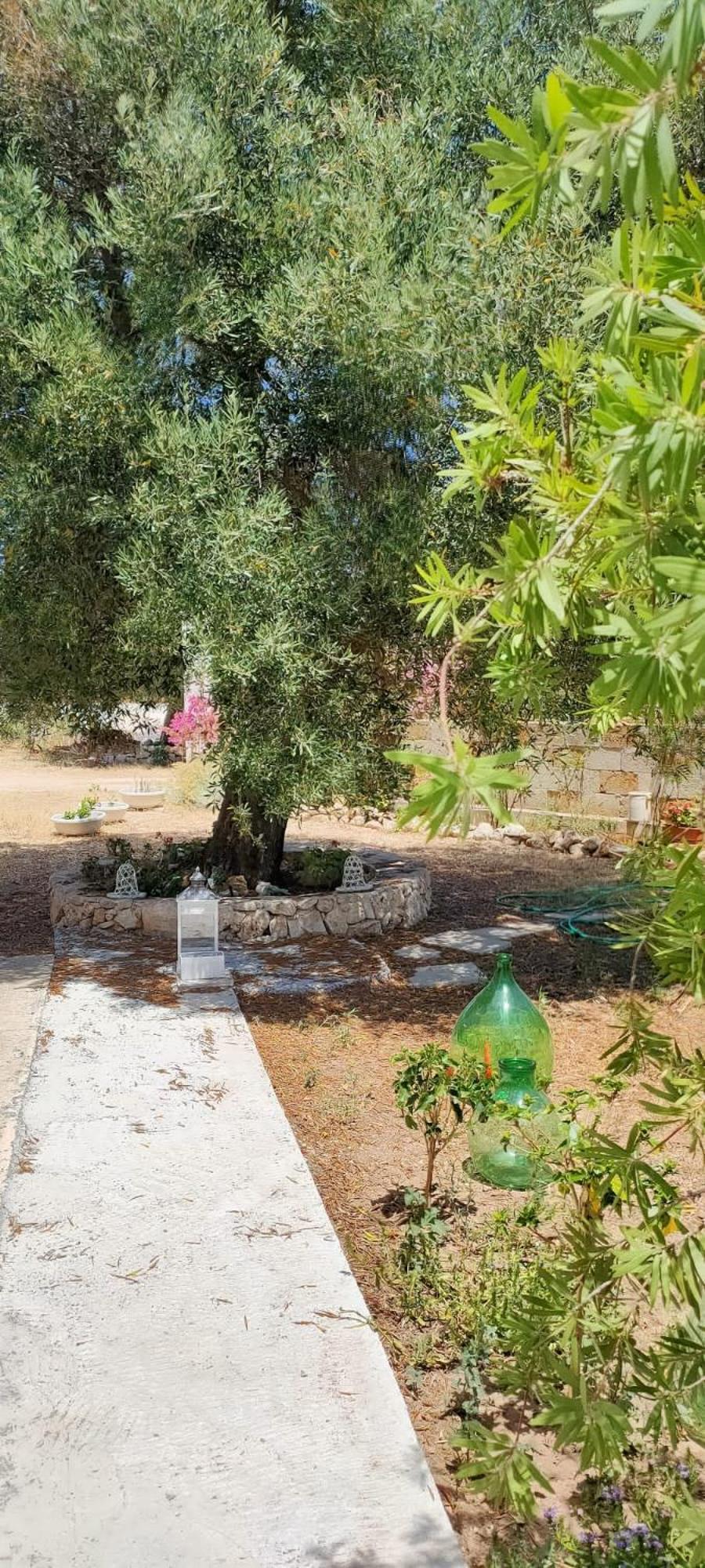 Trullo Alessandro E Villa Raffaela San Vito dei Normanni Habitación foto